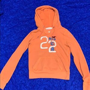 Hollister sweatshirt